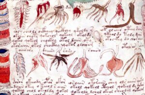 Historical Secrtes Voynich Manuscript